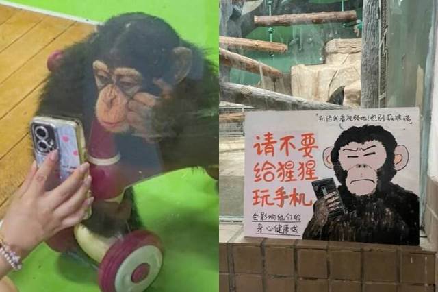 社會新聞